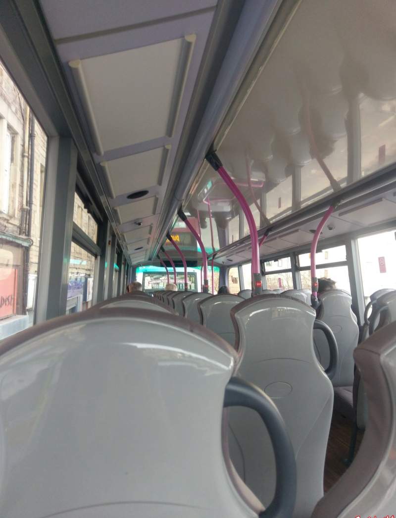 Показала письку в автобусе на фото